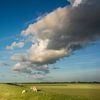 Op de Waddendijk (Panorama) van Bo Scheeringa Photography