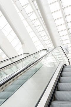 Architectuur Liège-Guillemins, station Luik, ontworpen door Calatrava. van Shaquille Maarschalkerweerd