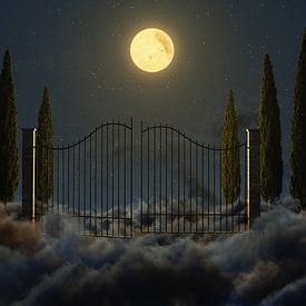 3D rendering of cypress tree avenue with ornamental metal gate by Besa Art