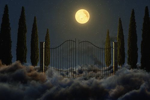 3D-weergave van cipressenlaan met sierlijke metalen poort van Besa Art