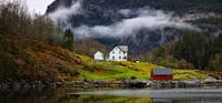 Norwegian Fjords