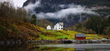 Norwegian Fjords by Ralph van Leuveren