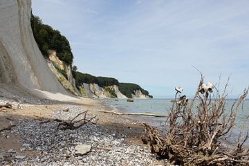 An der Kreideküste von Ostsee Bilder