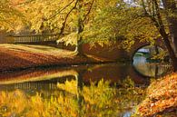 Herfst op Landgoed Elswout van Michel van Kooten thumbnail