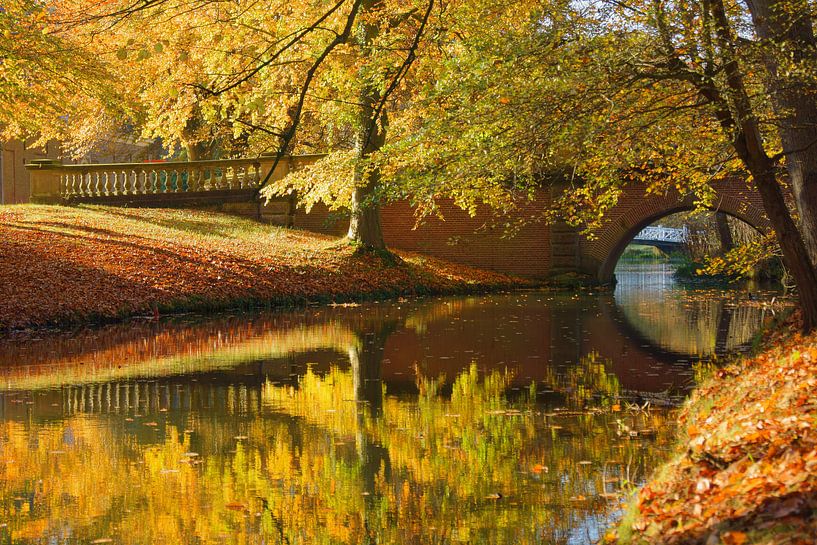 Herfst op Landgoed Elswout van Michel van Kooten