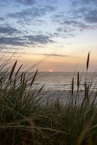 la plage de Texel
