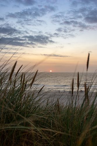 the beach on Texel