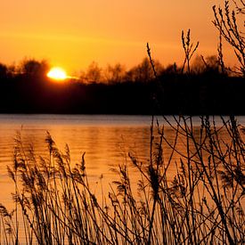 Sunset van fotograaf niels