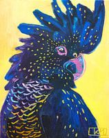 Zwarte papegaai vogel