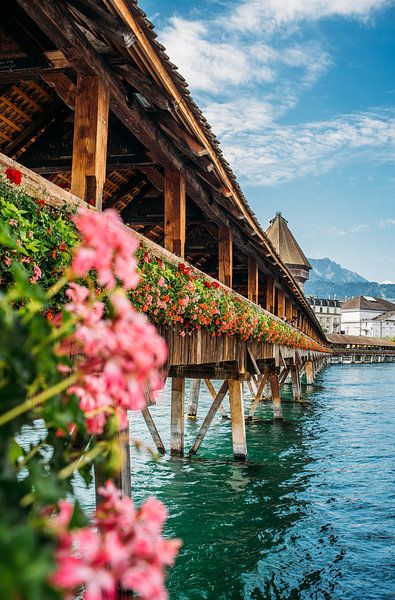 Flowers at the Chapel Bridge by Patrycja Polechonska