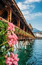 Flowers at the Chapel Bridge by Patrycja Polechonska thumbnail