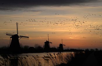 Sonnenaufgang am Kinderdike