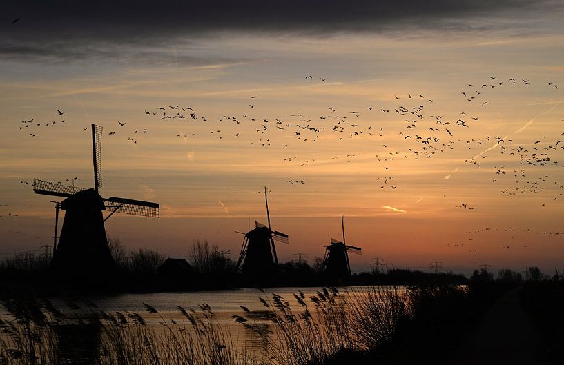 kinderdike sunrise par carla verhulst