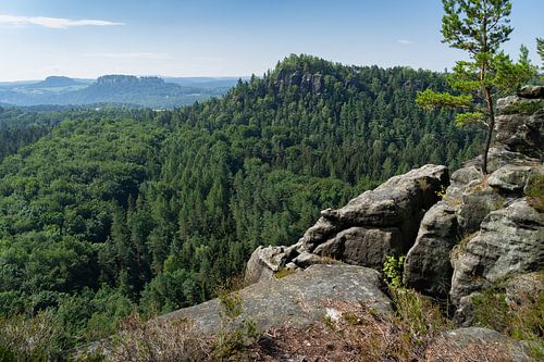 Großer Bärenstein, viewpoint in Saxon Switzerland