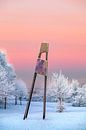 Winter an der Halde Großes Holz in Bergkamen von Frank Heldt Miniaturansicht