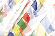 Flying prayer flags in Nepal. by Ron van der Stappen thumbnail