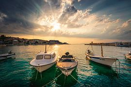 Take You On A Cruise sur Thom Brouwer