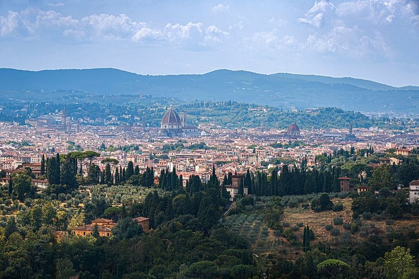 de stad Florence met koepel van Thomas Heitz