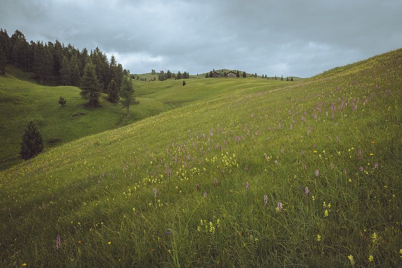 Wunderland in den Dolomiten von Youri Zwart