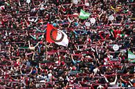 The Feyenoord Rotterdam legion on Coolsingel during the inauguration by MS Fotografie | Marc van der Stelt thumbnail