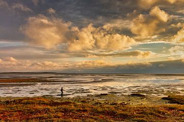 Vlieland. Un randonneur traverse les vasières à marée basse. sur Frans Lemmens