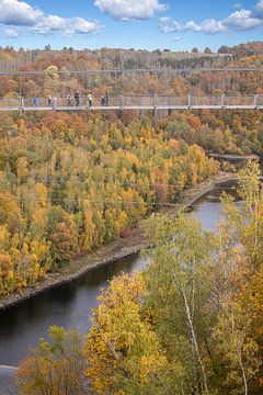 Entre ciel et terre - Pont suspendu au barrage Rappbodetalsperre dans le Harz sur t.ART