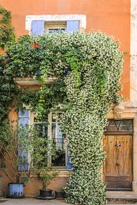 Üppig bewachsenes Haus in der Provence von Christian Müringer