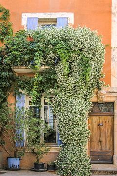 Une maison luxuriante en Provence sur Christian Müringer