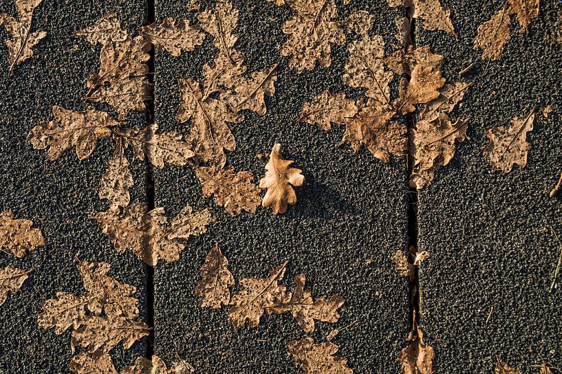 L'automne dans la rue par Connie Posthuma