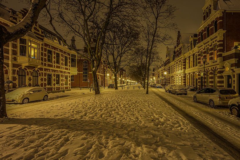 Winterabend in Kralingen von Leon Okkenburg
