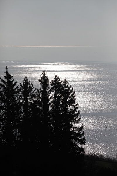 Bodensee von Thomas Jäger