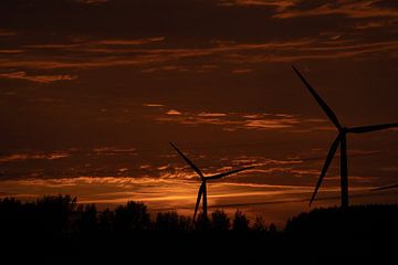 Abendsonne von Maaike Krimpenfort