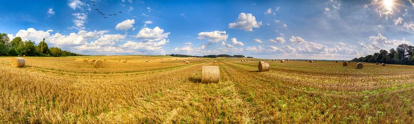 Strohballen auf einem Feld von Tilo Grellmann