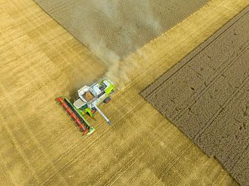 Combine oogst tarwe tijdens de zomer van Sjoerd van der Wal