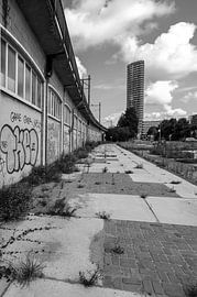 Graffiti an der Amstel Station in Amsterdam. von Peter Bartelings