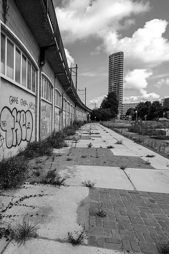 Graffiti bij het Amstelstation in Amsterdam.
