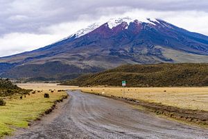 Vulkan Cotopaxi, Ecuador von Pascal van den Berg