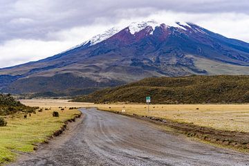Vulkaan Cotopaxi, Ecuador van Pascal van den Berg