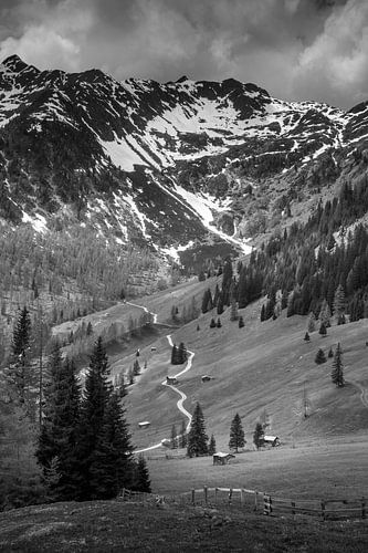 Uitzicht vanaf de Oberstalleralm in het achterste Villgratental, Oost-Tirol