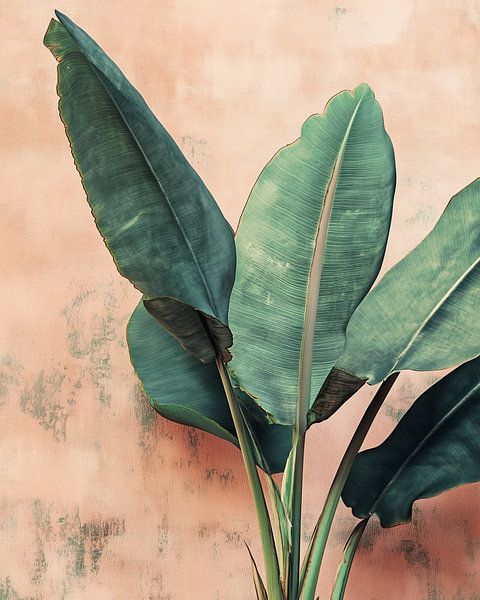 Bananenblatt an Terrakotta-Wand - weicher botanischer Druck von Thea
