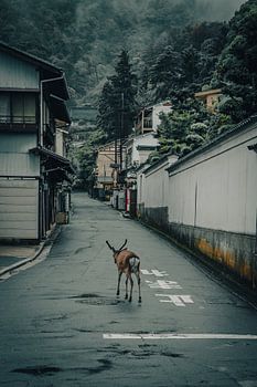 Ein Reh spaziert auf Miyajima, Japan