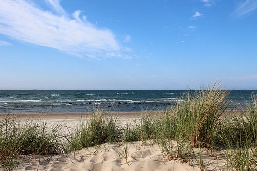 Baltic Sea beach