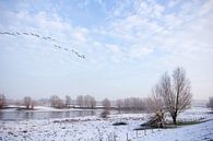 Winters plaatje Tiel by Tess Smethurst-Oostvogel thumbnail