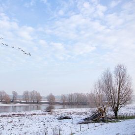 Winters plaatje Tiel von Tess Smethurst-Oostvogel