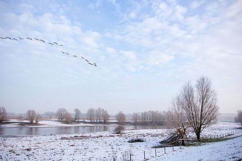 Winters plaatje Tiel
