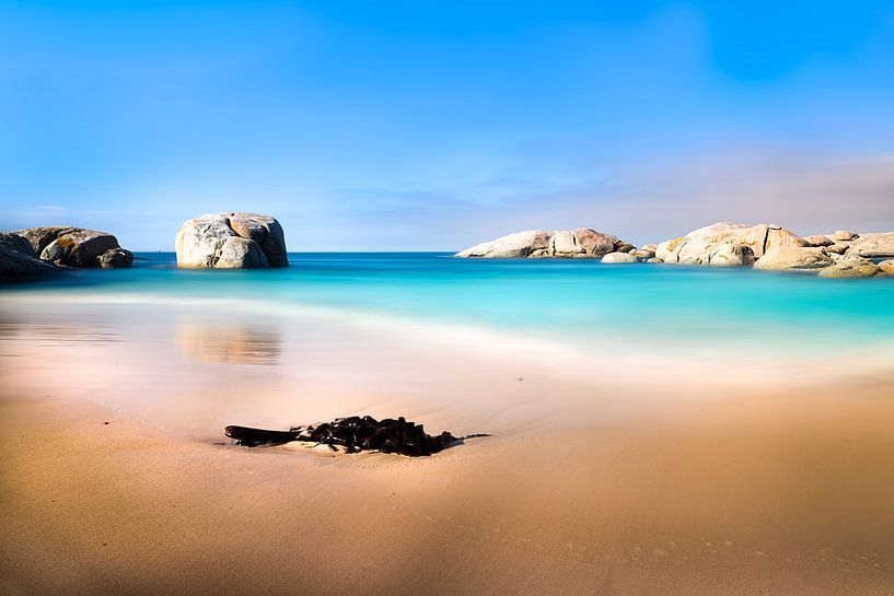 Boulders Beach von Thomas Froemmel