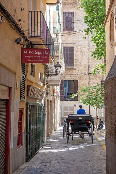 Promenade en calèche dans le centre historique de Palma de Majorque par t.ART