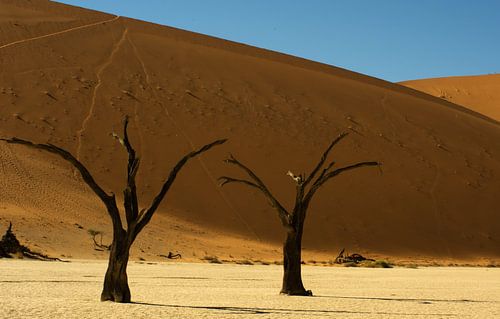 Sossusvlei 