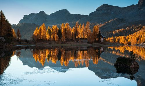 Herfst in de dolomieten, op een vroege ochtend