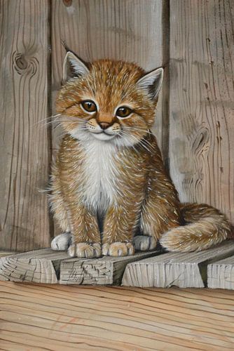 Schattig katje op houten vloer schilderij